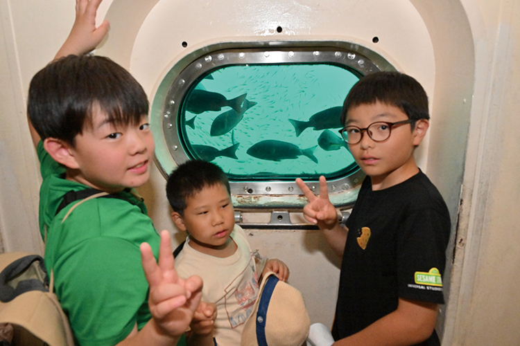 かつうら海中公園の海中窓