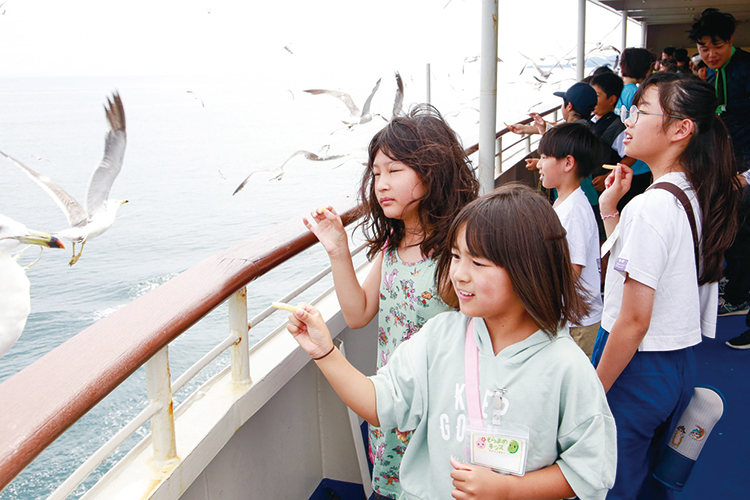 カモメにエサやり