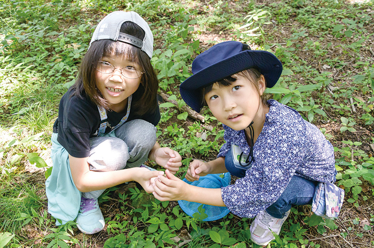昆虫を捕まえた