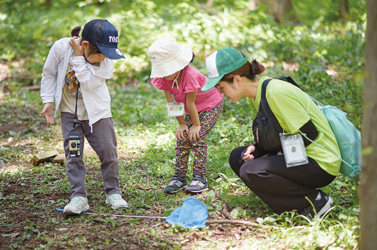 森の中で昆虫採集