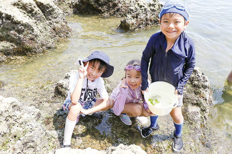 磯遊び
