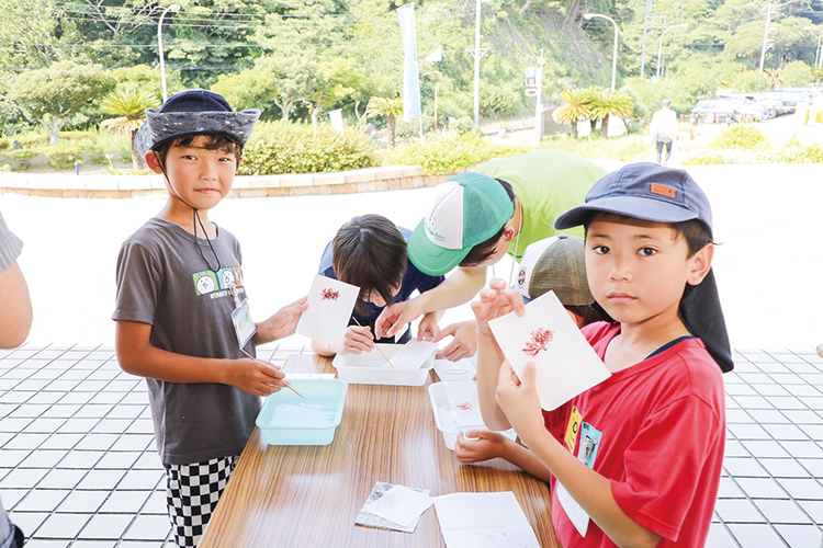 海藻の標本作り