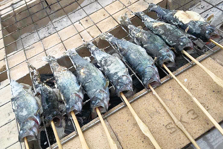 マスの塩焼き