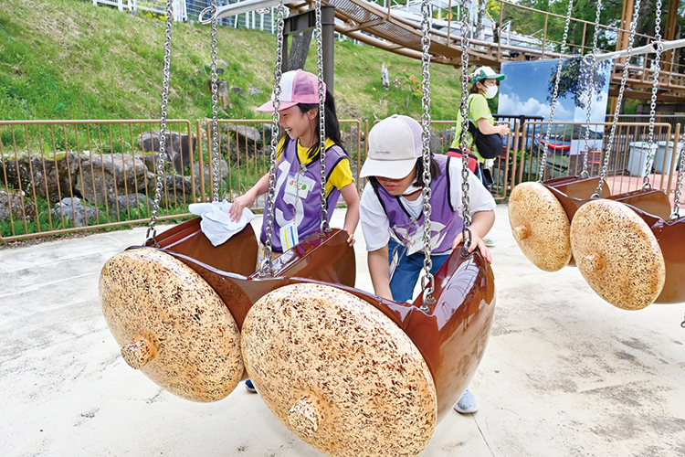 どんぐりのアトラクション