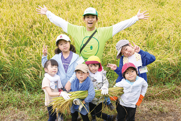 みんなで稲刈り