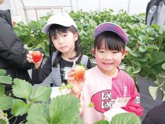 そらまめキッズ評判・お客様の声　お客様より喜びの声が届いています！