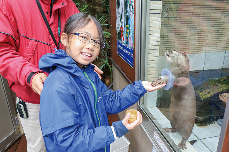 カワウソにタッチ