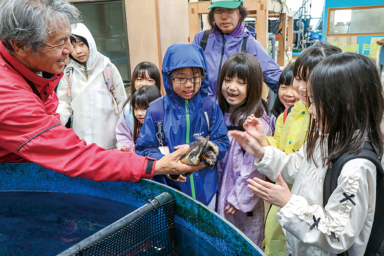 海の生き物に触ってみよう