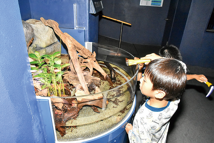 貸切ナイトツアー
