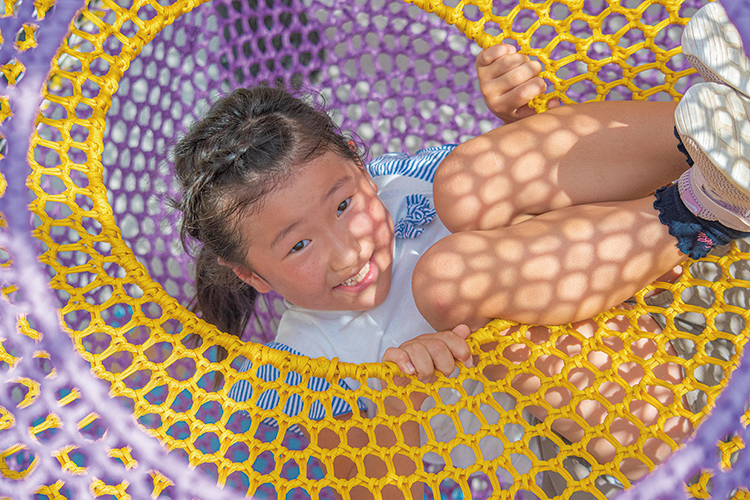 ネットのアスレチック