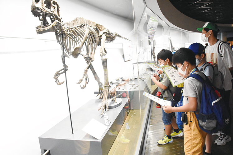 恐竜の模型を見る