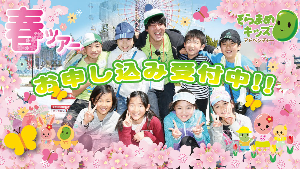 【26春ツアー告知】(3)スマホ