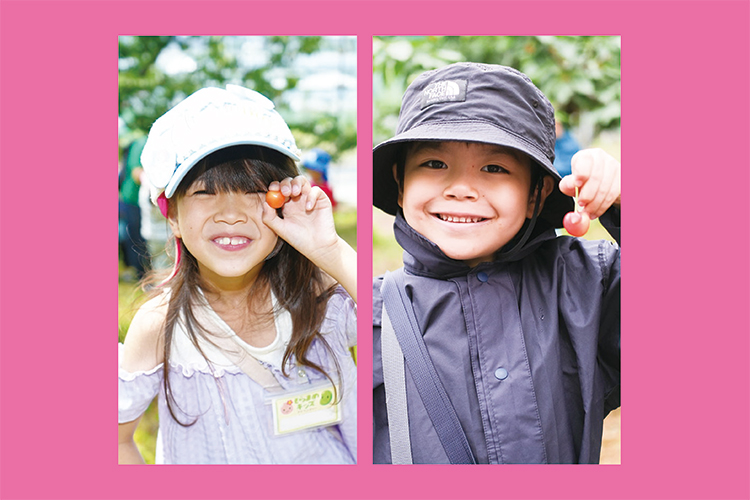 収穫したさくらんぼを持つ